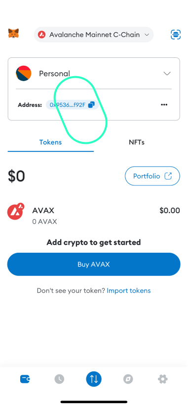 Avalanche wallet instructions for Hodlezz APp
