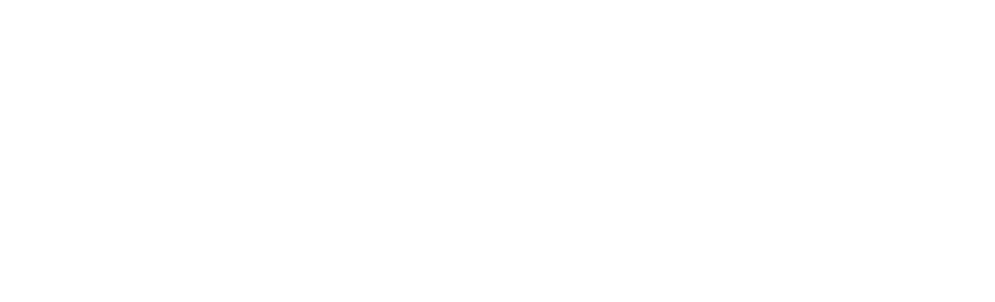 NFT Cluj logo and Hodlezz