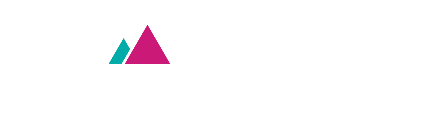 Websummit logo and hodlezz