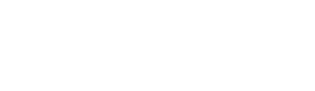 bonfida logo